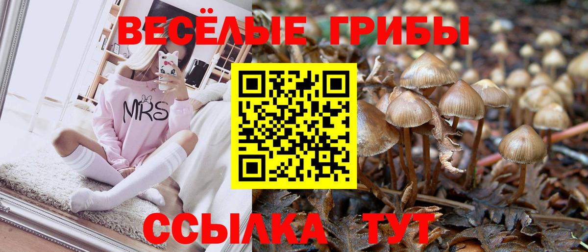 Бор  Галлюциногенные грибы мицелий  Вход с VPN  Псилоцибиновые грибы мухоморы 